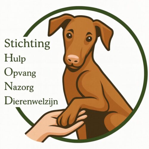 Voor een beter hondenwelzijn